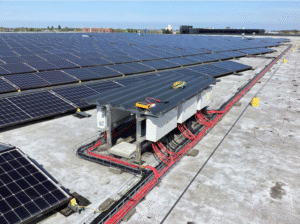 rijnvicus scope 12 keuring